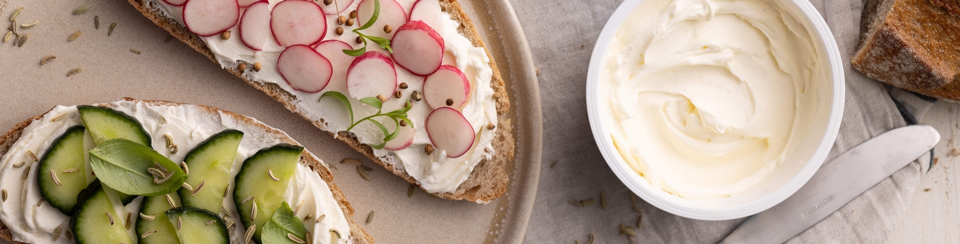 entete-fromage-a-tartiner-pro