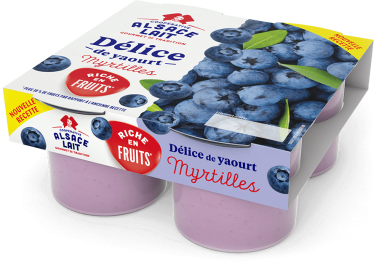 delice-de-yaourt-myrtilles