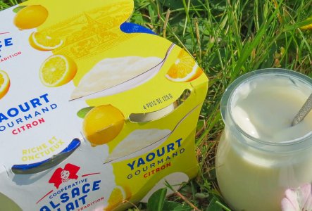 banner-produits-gourmands-citron