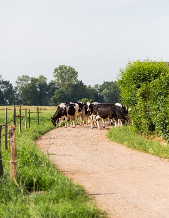 exploitation-familale