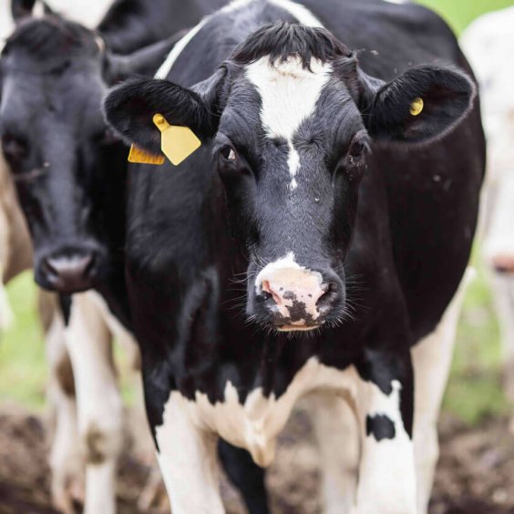 interview-innovation-et-evolution-de-lexploitation