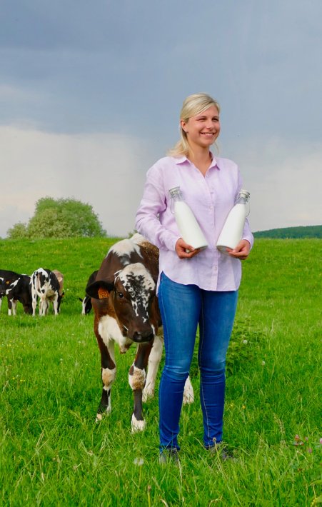 vaches-laitieres-eleveur