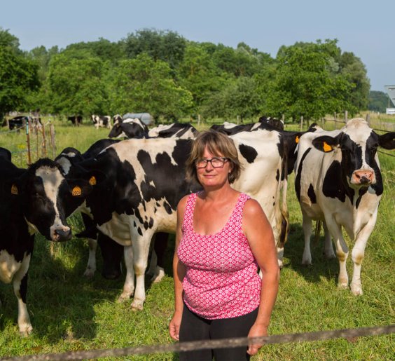 edith-eleveuse-de-vaches-laitieres