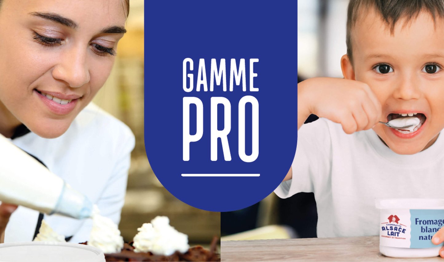 Notre savoir-faire pour les professionnels