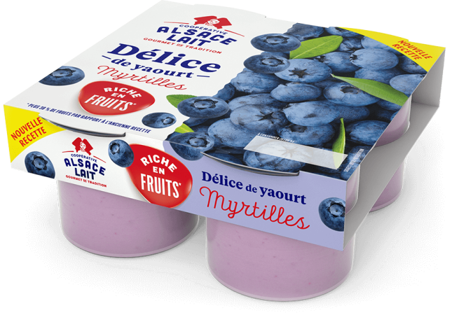 delice-de-yaourt-myrtilles