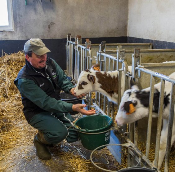 deux-exploitations-laitieres-associees