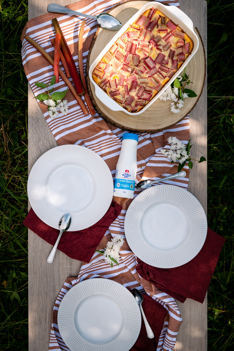 al-clafoutisrhubarbe-01-web