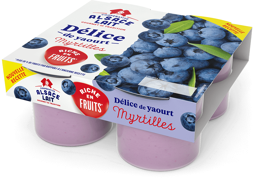 delice-de-yaourt-myrtilles