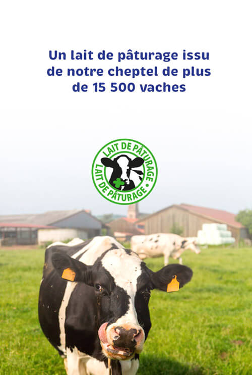 home-engagement-lait-de-paturage