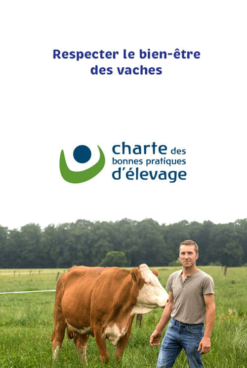 home-engagement-respect