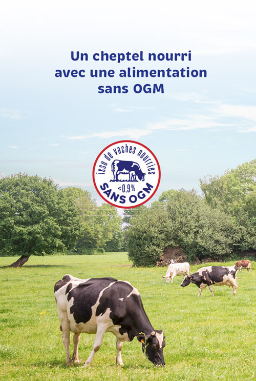 home-engagement-sans-ogm